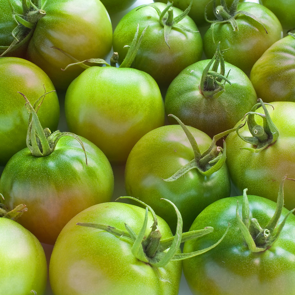 대저농협 짭짤이토마토