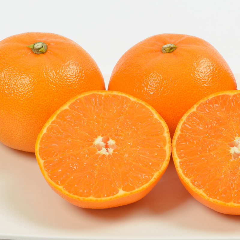 가정용 하우스 천혜향